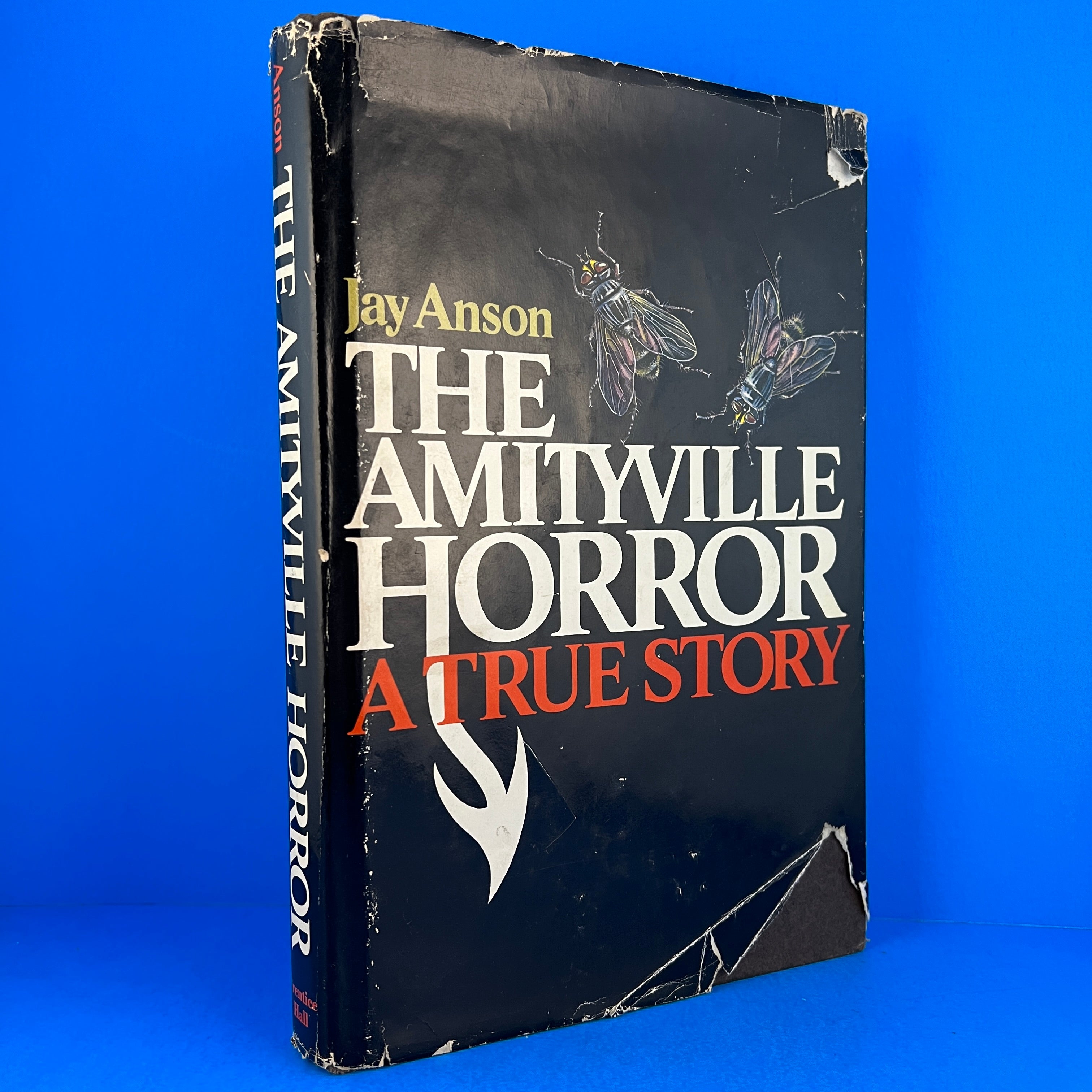 Amityville horror house book