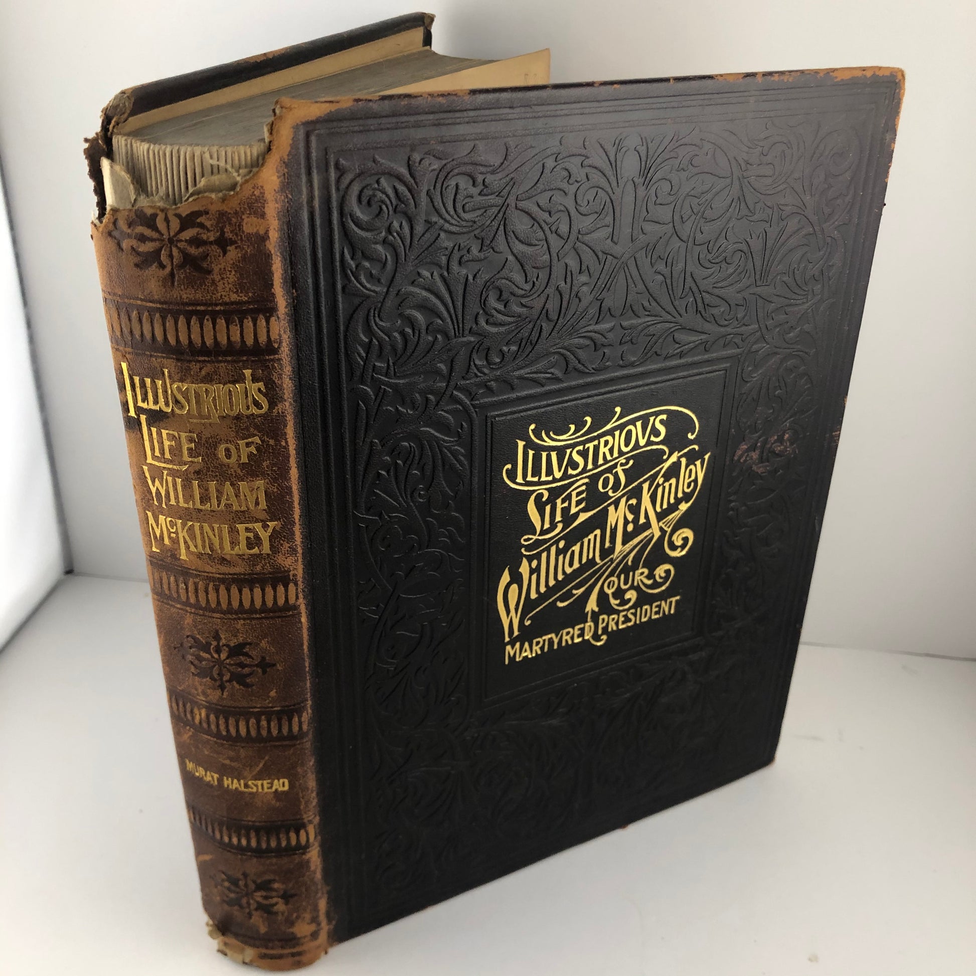 Illustrious Life of William McKinley Default Title