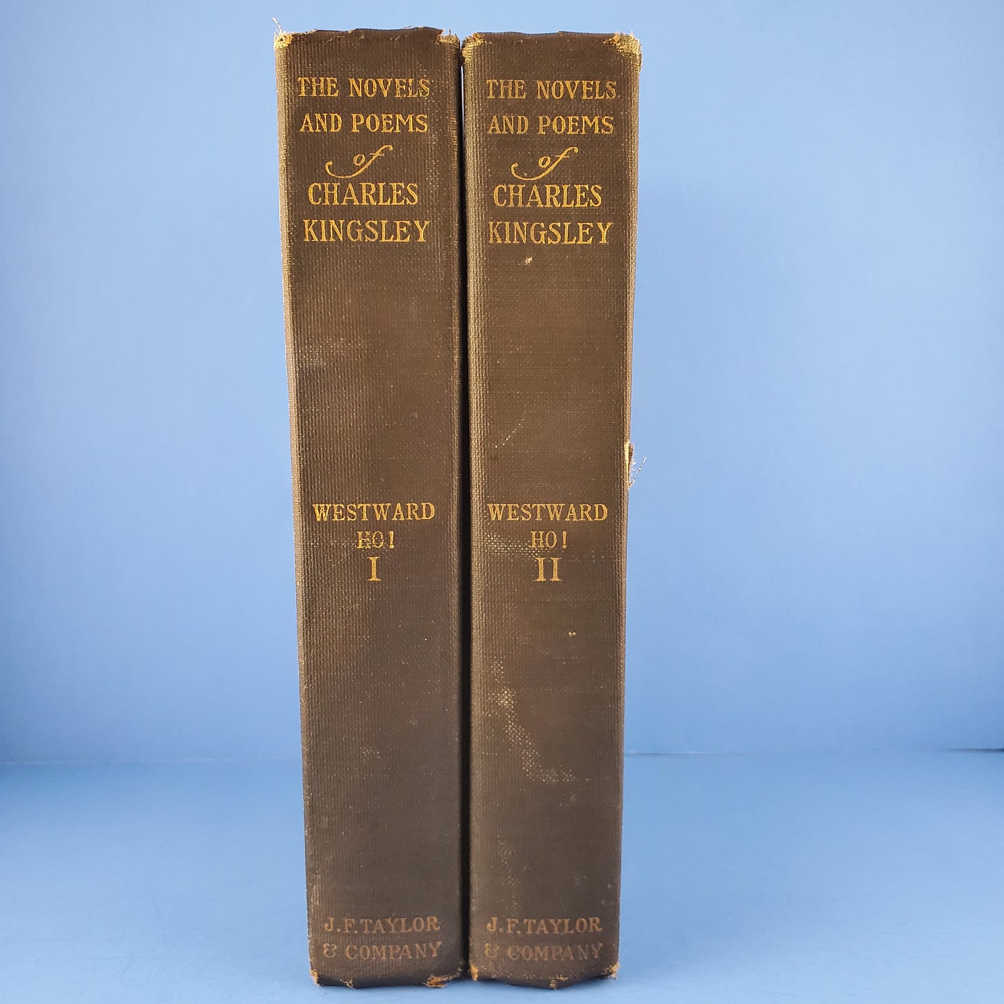 The Novels and Poems of Charles Kingsley: Westward Ho!