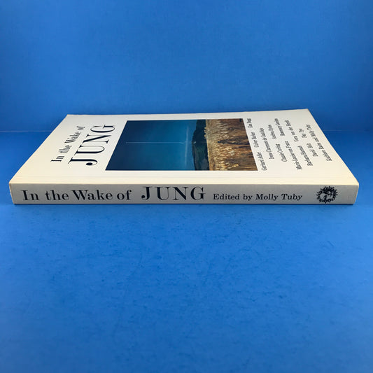 In the Wake of Jung