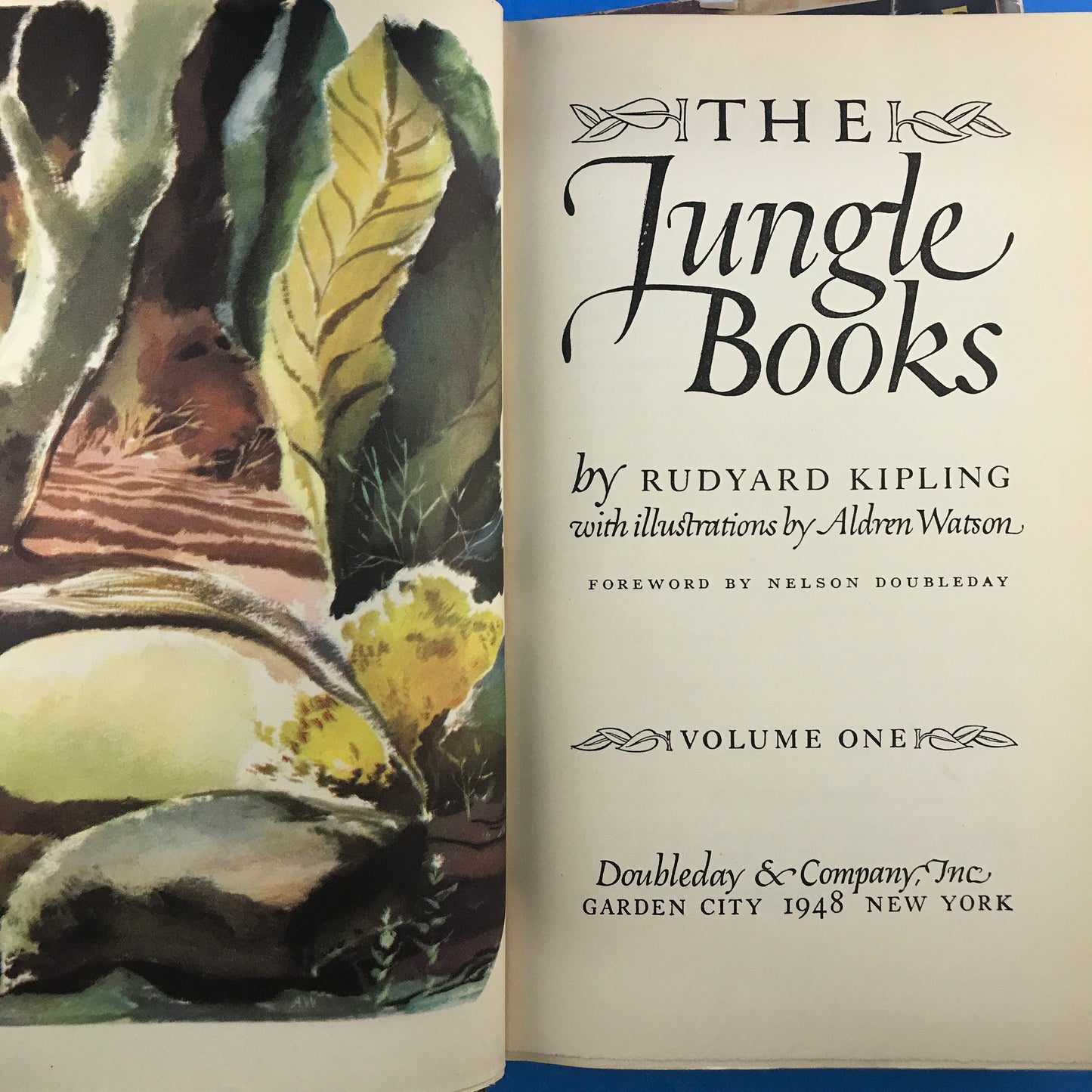 The Jungle Books (2 Vol)