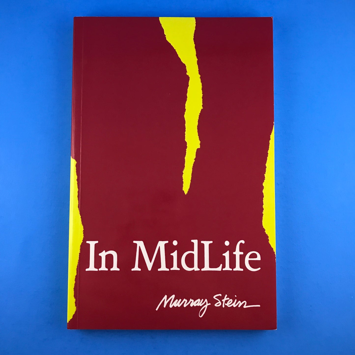 In MidLife: A Jungian Perspective