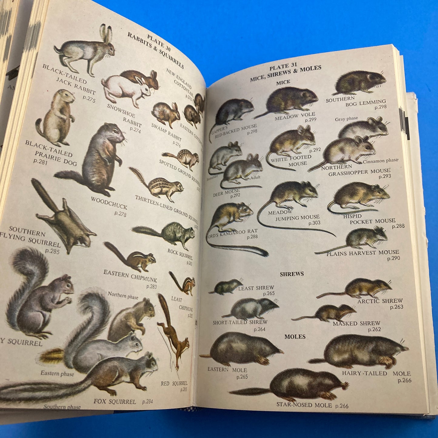 Complete Field Guide to American Wildlife