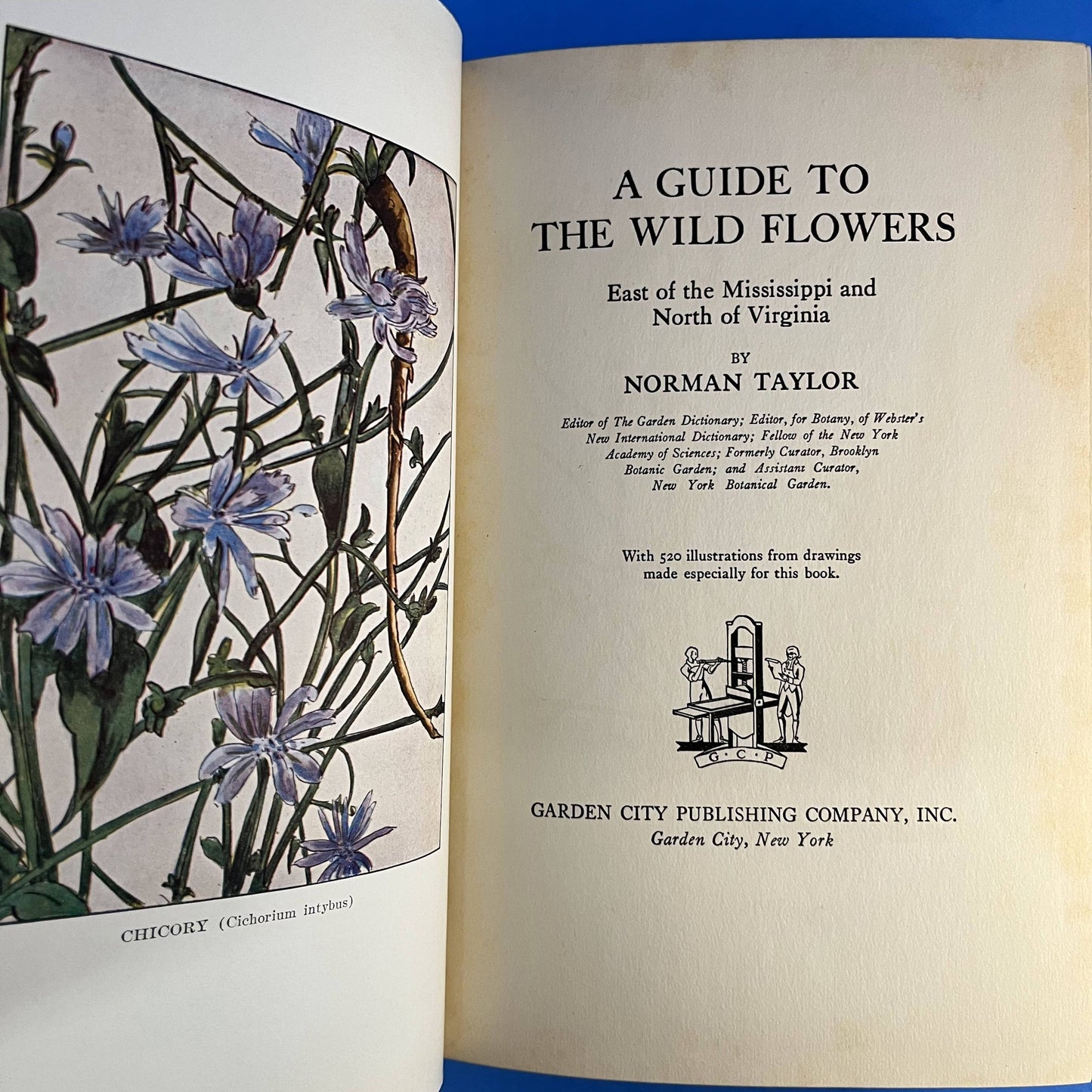 A Guide to the Wild Flowers: East of the Mississippi and North of Virginia