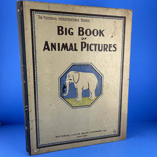 Big Book of Animal Pictures