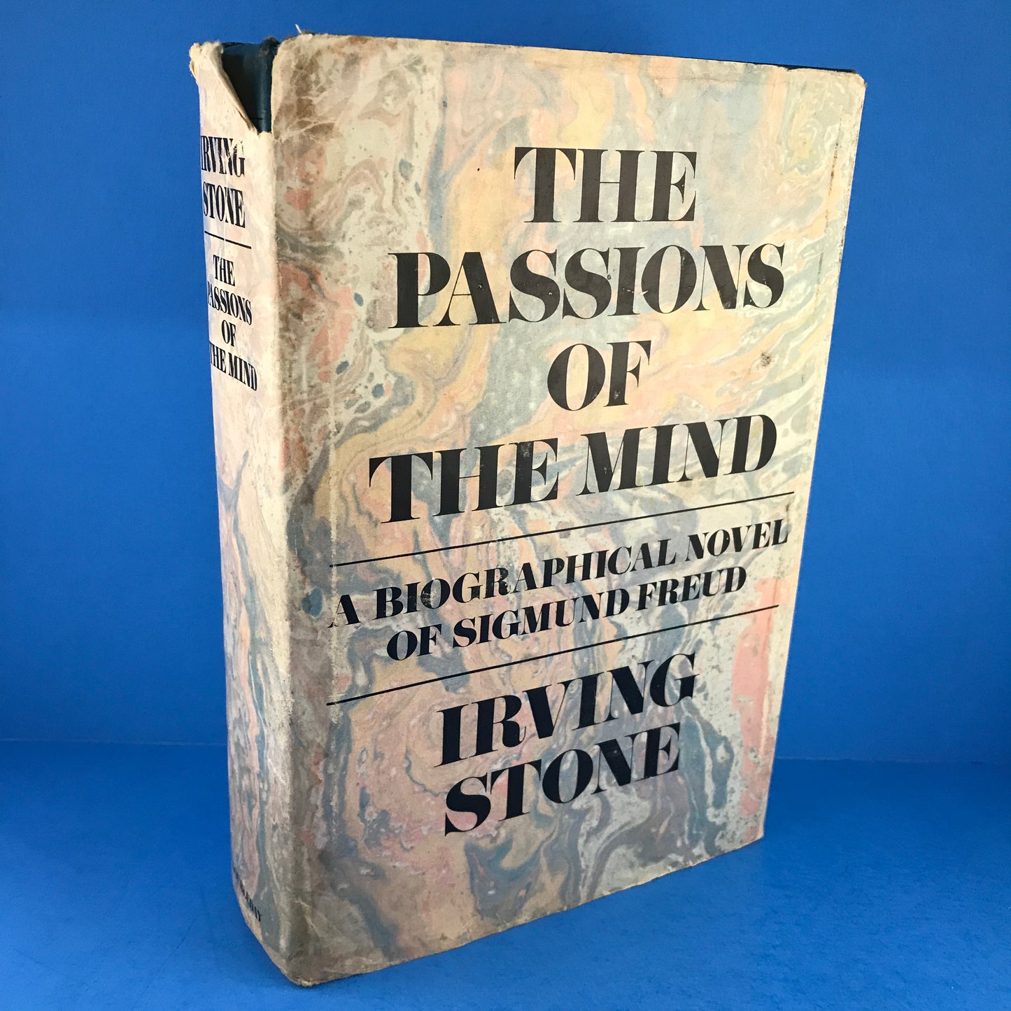 The Passions of the Mind: A Biographical Novel of Sigmund Freud