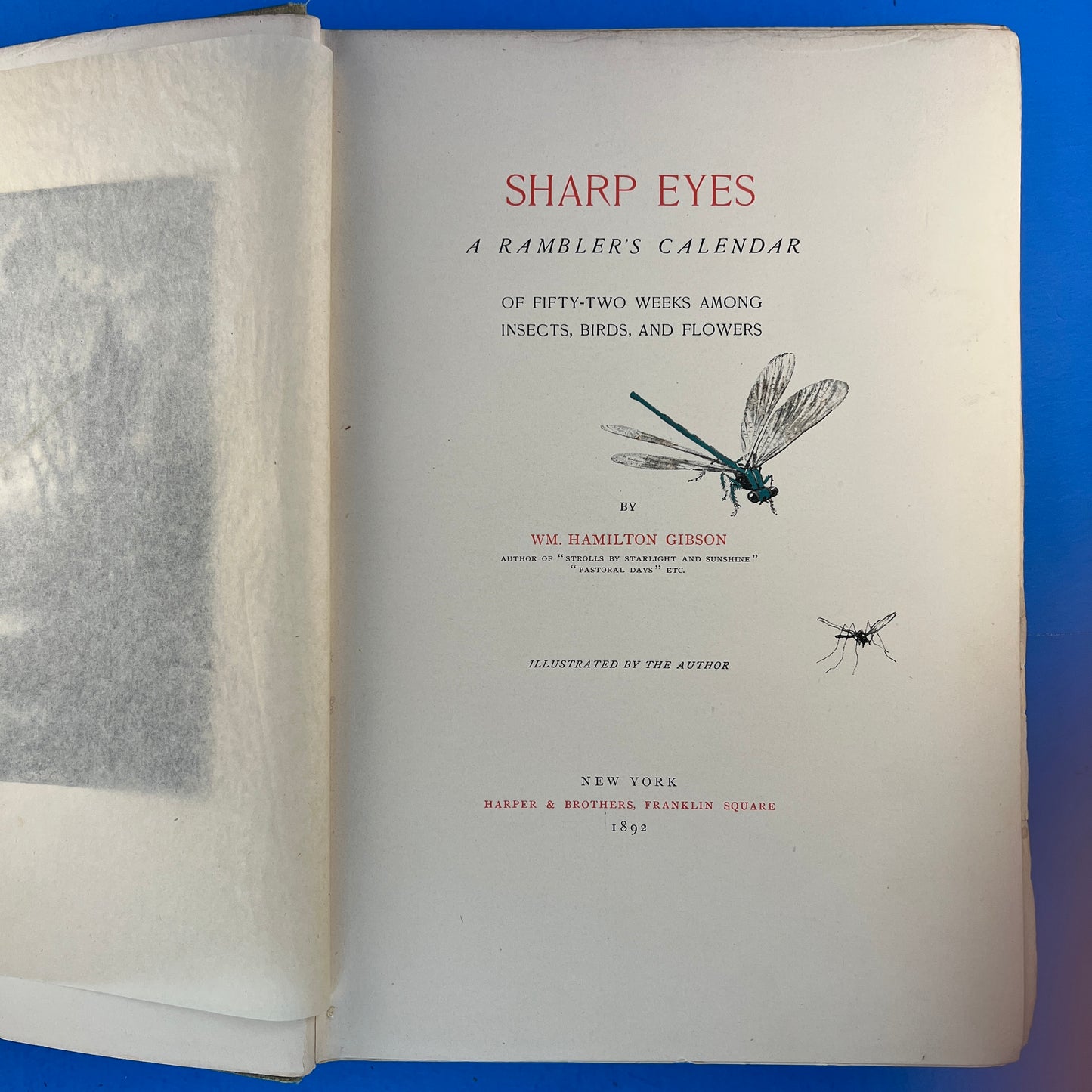 Sharp Eyes: A Rambler's Calendar