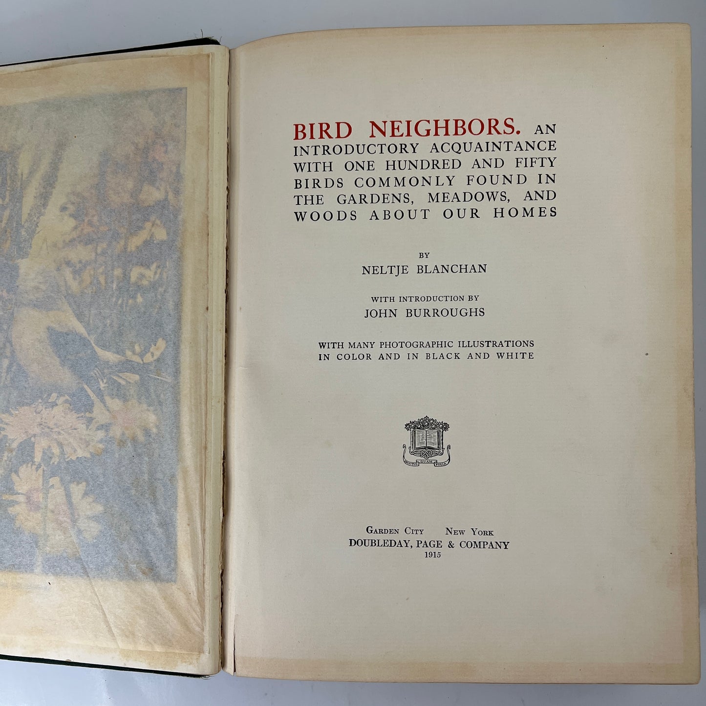 Bird Neighbors: An Introductory Acquaintance with One Hundred and Fifty of Our Common Birds