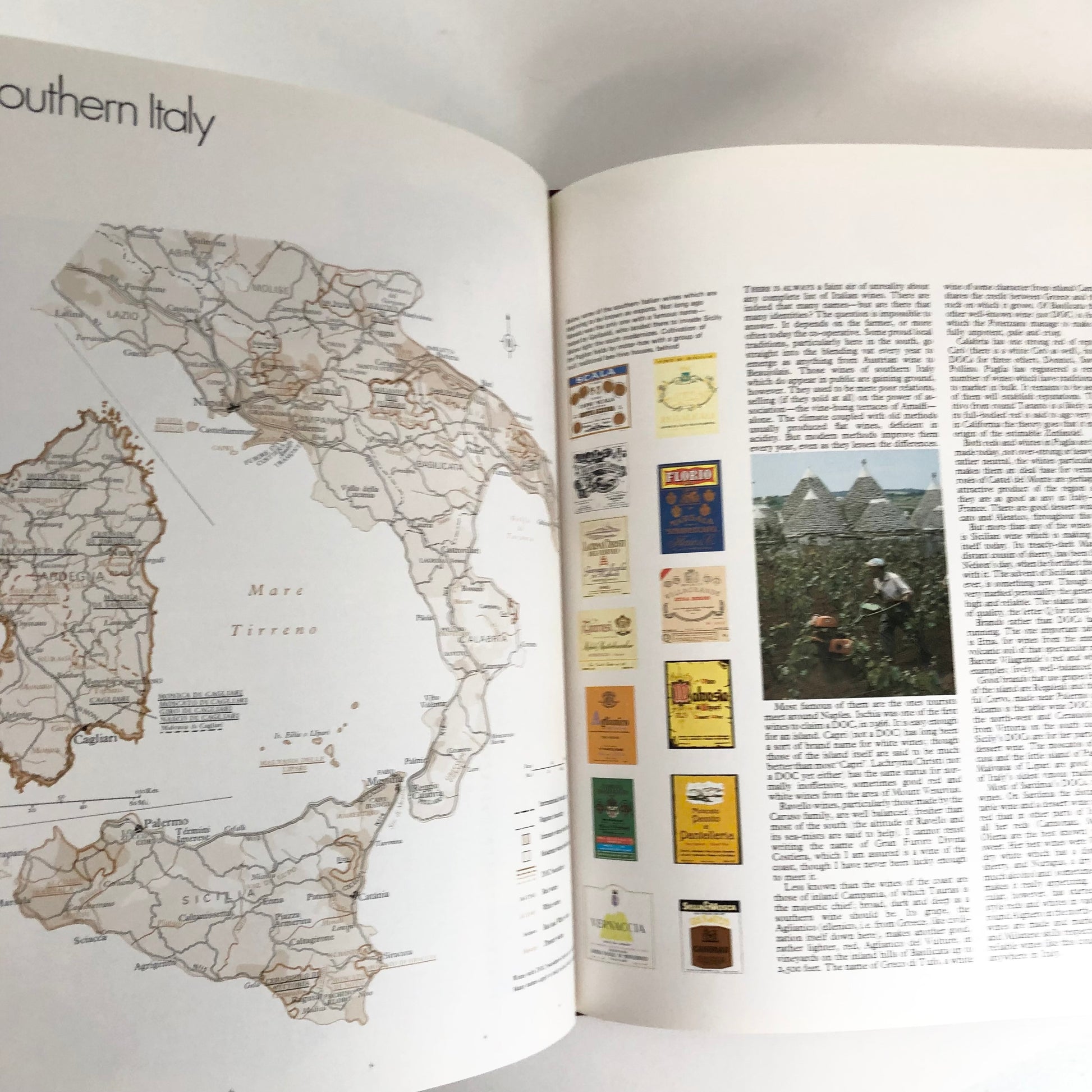 The World Atlas Of Wine – Sparrow's Bookshop