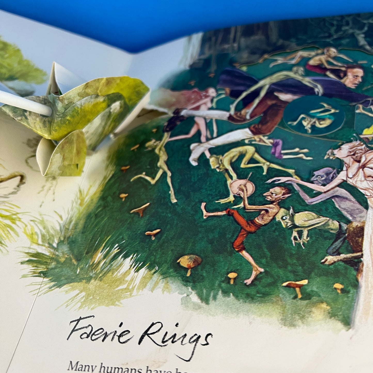 The Faeries Pop-Up Book