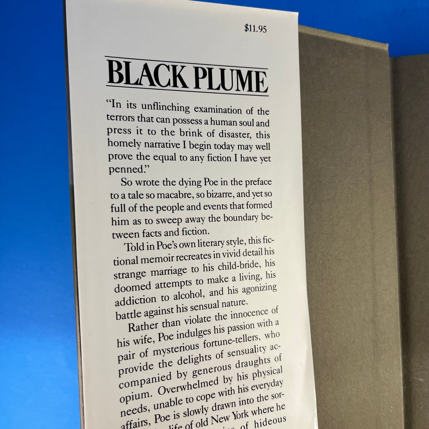 Black Plume