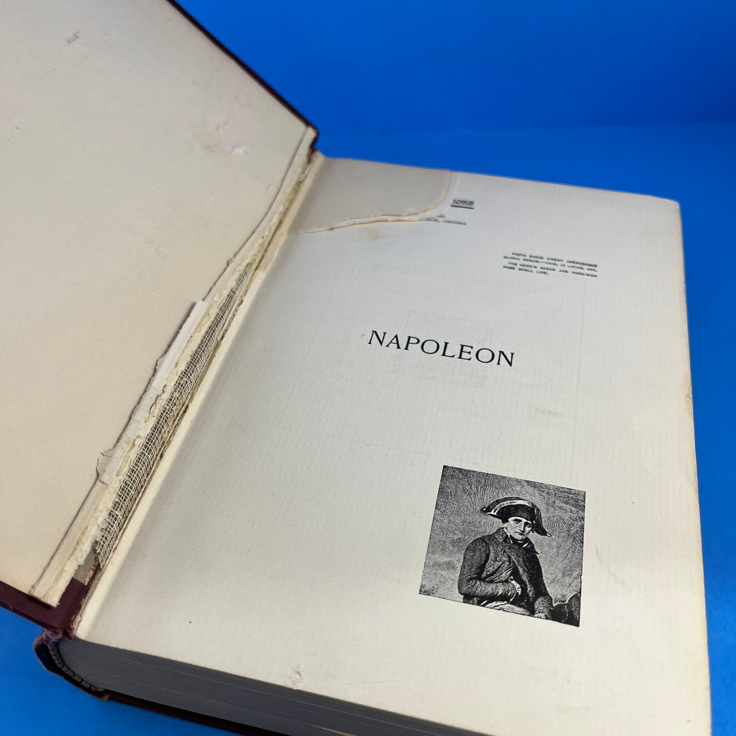 Napoleon: Warrior and Ruler