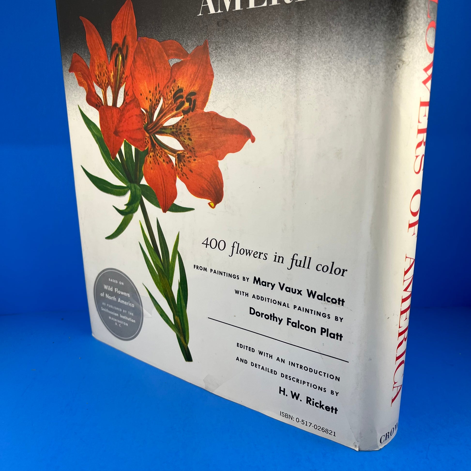 Wild Flowers of North America: 9783791388892 | : Books